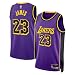 Lebron James Los Angeles Lakers NBA Kids Youth 8-20 Purple Statement Edition Swingman Jersey (US, Numeric, 14, 16, Regular, Lebron James Los Angeles Lakers Purple)