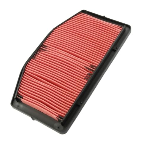Filtro de combustible lavable R1 para disfrutar de rutas largas sin imprevistos
