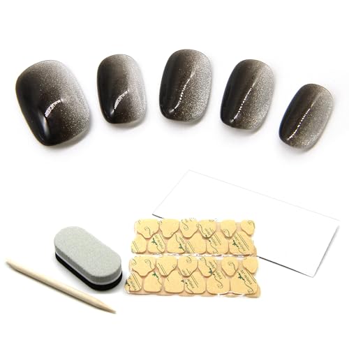 lC`bv V[g   i _ fUC SV[t JԂg P[XtZbg (ubN, XS)