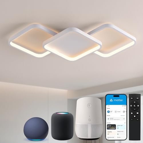 Sky angle Lampada a Soffitto Smart con Controllo Vocale tramite Alexa/Google Home, LED Dimmerabile, Lampada a Soffitto LED per Soggiorno, Camera da Letto, Bagno, Cucina