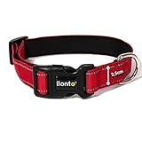 lionto B0CLD5GH8Z lato 4