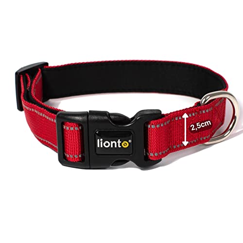lionto Hundehalsband aus strapazierfähigem Nylon, Größe M, weiches gepolstertes Halsband für Hunde, 360° reflektierend & Klickverschluss, Metallring & Anpassung durch stufenlosen Schieber, rot