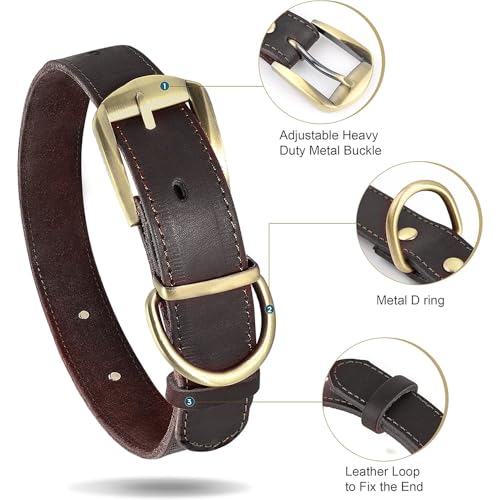 Didog Genuine Leather Dog Collar L