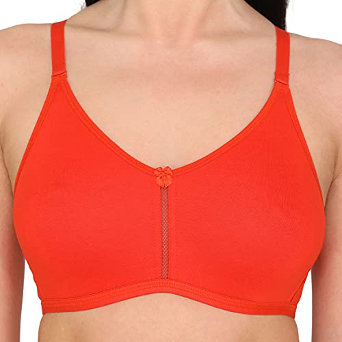 Image of Zivame Women Padded Bra