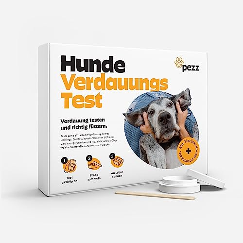 Hundefutter aus insekten test