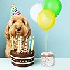 Cheeki-Studios-Present-Plush-Dog-Toys-Birthday-Surprise-Interactive-Gift Birthday Surprise Interactive Gift