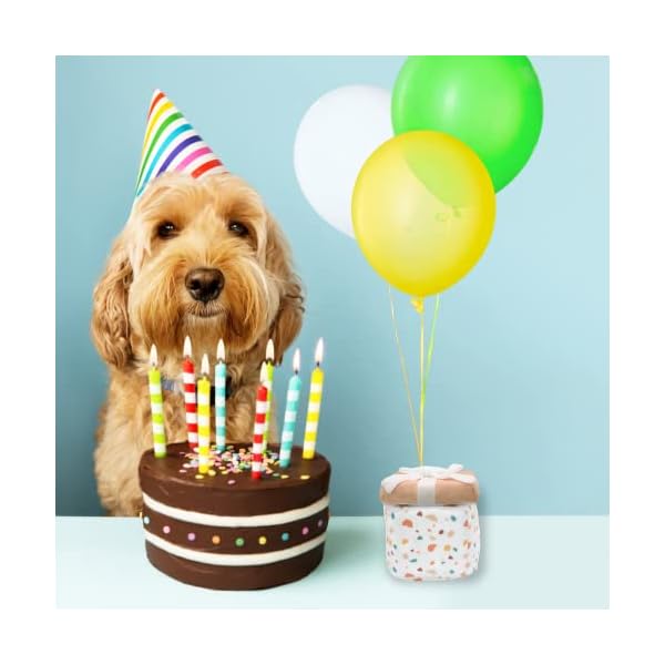 Cheeki-Studios-Present-Plush-Dog-Toys-Birthday-Surprise-Interactive-Gift Birthday Surprise Interactive Gift