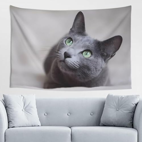 �^�y�X�g���[ ���V�A���u���[ �l�R �L �L�� �D�F �t�@�u���b�N�����p�i ������� �A�[�g�v�����g �Ǌ|�� �z �C���e���A �|�X�^�[ �w�i�z