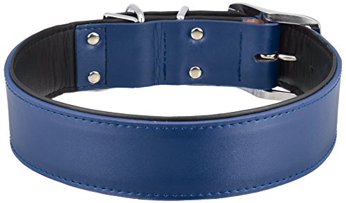 A[XybgTK DSWv 42(^p) 