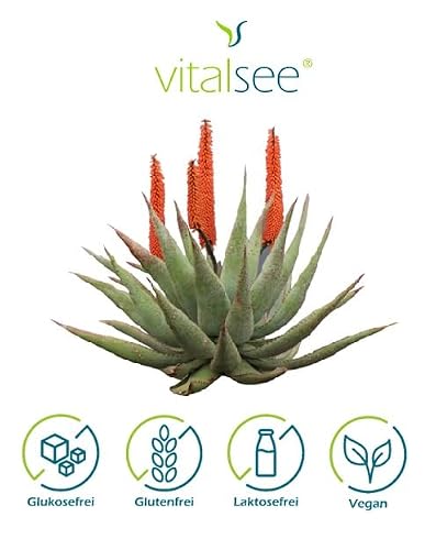 Aloe Vera Kapseln Vitalsee Aloe Ferox 300 Extrakt, 90 Kapseln
