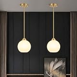 MQMQA Gold Globe Pendant Lights