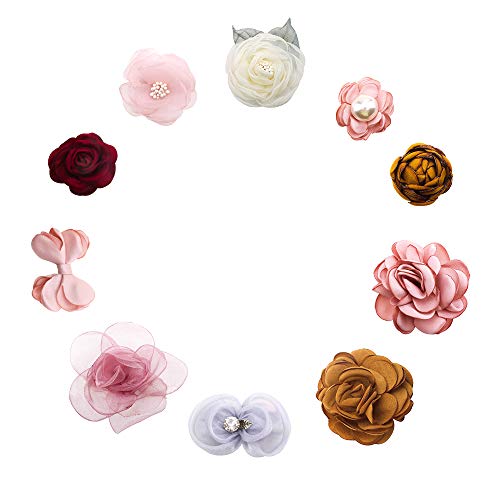 Baby Hair Clips Flower Girls Hair Bows Toddler Hair Accessories Pack of 10 (Color K)