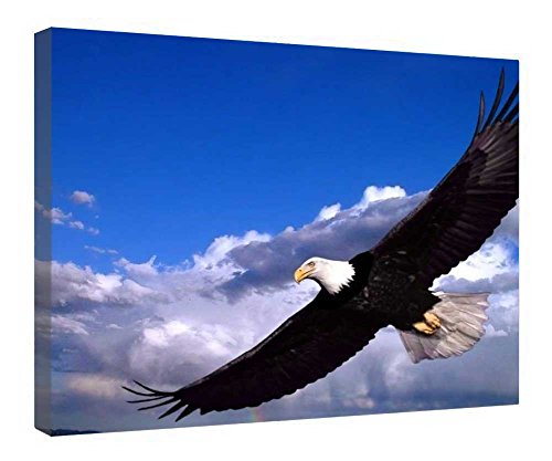 Toile Mighty Eagle encadrée bois tableau aigle décoration murale 40x50