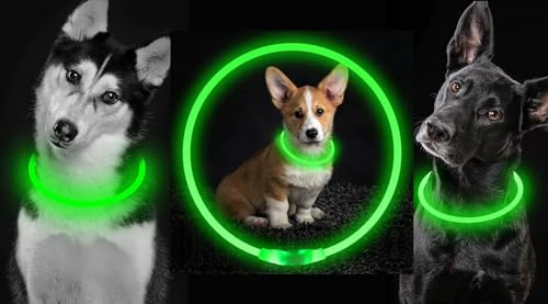 LED Leuchthalsband für Hund - Wasserdicht mit 3 Beleuchtungsmodi - USB Aufladbar - Einstellbare Länge für Kleine und Große Katzen