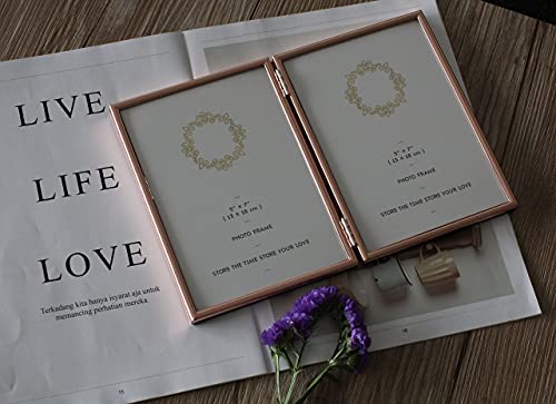 Leadex Concise Hinged Double Picture Frame, Silver Plated,Standing Vertical,5 By 7 Inch,Best For Home Or Office Table Decor (Rose Gold) #TOP2