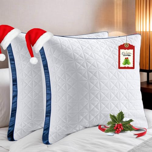 Slybear Kissen Kopfkissen 80x80 cm 2er Set,2X orthopädisches...