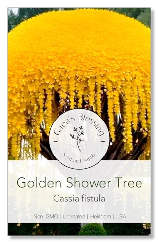 Gaea's Blessing Golden Shower Tree seeds image