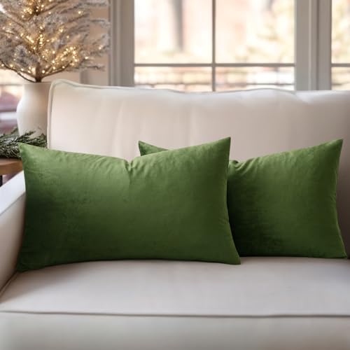 Slozzi 2er Set Samt Kissenbezüge Haushalt Dekokissen Dekorative Kissenhülle Weich Sofakissen für Sofa Schlafzimmer Wohnzimmer