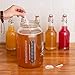 Kombucha Essentials Kit - Includes USDA Organic Kombucha SCOBY + 1-Gallon Glass Fermenting Jar with Breathable Cover + pH Strips + Rubber Band + Adhesive Thermometer - Brew kombucha at Home
