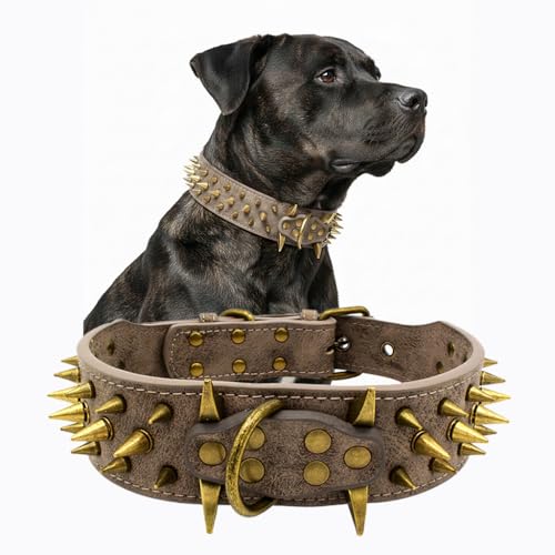 Stilvolles, scharfes, mit Stacheln besetztes Hundehalsband aus Leder - Passend für mittelgroße und große Hunde