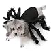 PEDOMUS Disfraz de Perro Disfraz de Halloween Perro Gato Disfraces de araña...