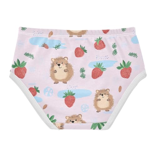 Wusikd Cute Hedgehog Girls' Underwear Cotton Strawberries Pink Girls Briefs Soft Toddler Underwear 2T2