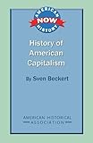 History of American Capitalism (American History Now)