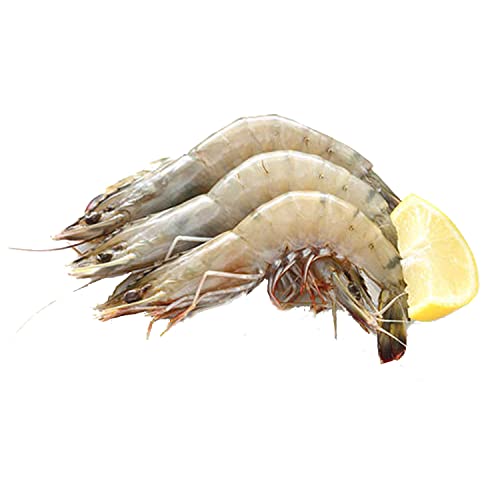 Fresh Farmed Prawns 50/60 Uncleaned 500 g