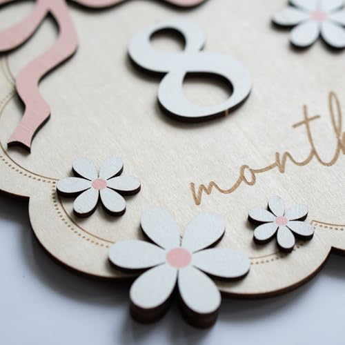 Baby Monthly Milestone Sign,1-12 Monthly Baby Milestone, Month Milestone Baby Girl, Baby Months Milestone, Newborn Photography Props Double-Sided (B11) by HONOCOOLS - Image 7