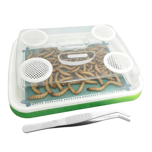 Zuchtbox | 3- lagiger feinmaschiger Seidenraupen- Kotfilter, mit Pinzette, geruchsdicht, feinmaschig, Mehlwürmer, Zuchtbehälter- für Reptilien, Eidechsen, Schildkröten, Amphibien, kleine Haustiere