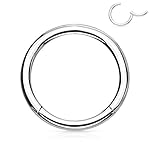 Forbidden Body Jewelry 316L Surgical Steel Hinged Seamless Nose Rings Hoop 14G 16G 18G, Diameter 6mm 8mm 10mm 12mm, Gold/Rose Gold/Silver/Black/Rainbow Colors.