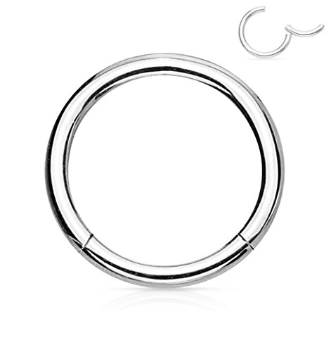 Forbidden Body Jewelry 316L Surgical Steel Hinged Seamless Nose Rings Hoop 14G 16G 18G, Diameter 6mm 8mm 10mm 12mm, Gold/Rose Gold/Silver/Black/Rainbow Colors.