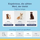 ProDen PlaqueOff Zahnpulver für Hunde & Katzen 60 g, Zahnputzflocken Hund, Zahnsteinentferner Hund bei Mundgeruch, Hunde Zahnpflege bei Zahnbelag und Zahnstein und für frischen Atem