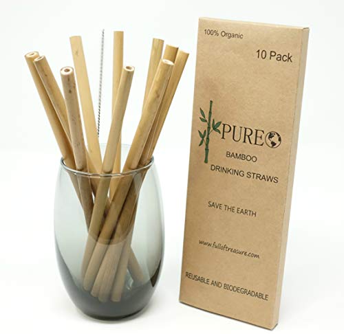 Organic Bamboo Drinking Straws Set of 10