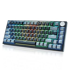 Wireless Mechanical Keyboard with Volume Knob,75% Percent Gaming Keyboard,RGB Hot Swappable Gray Mechanical,Backlit Light Up PBT USB C 2.4GHz BT5.0 Gasket Red Switch