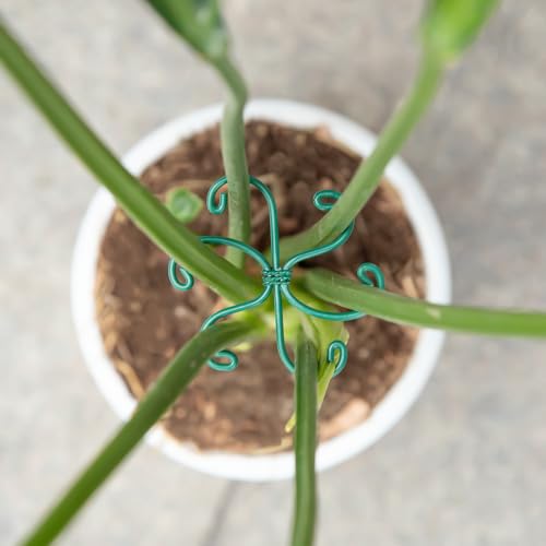 Yohsnor Monstera Plant Stem Support - Set of 5 Sturdy Indoor Support Sticks for Monstera & Climbing Plants - Essential Growth Stabilizers for Leaf Support - Easy-to-Use Gardening Accessories