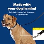 PetSafe Nylon Dog Leash Strong, Durable, Traditional Style Lead with Easy to Use Bolt Snap for Small, Medium and Large Dogs 3/8" x 6', Black - Image 3