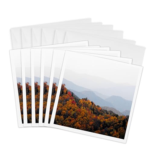 Cartes de vœux grand format pour écrire sans manquer de place | Lot 6 3dRose 15x15