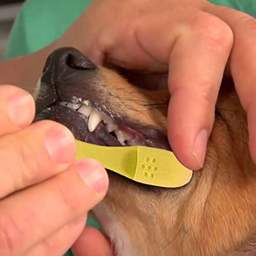 犬の指の歯ブラシ,猫用シリコン指先歯ブラシ | 大型から小型