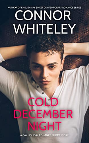 Cold December Night: A Gay Holiday Romance Short Story (English Edition)