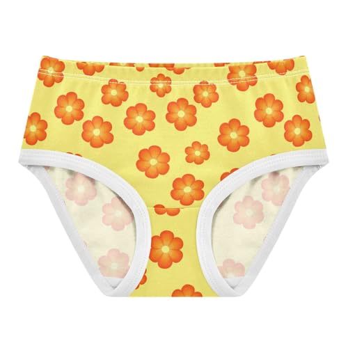 Flowers Floral Yellow Toddler Girls's Underwear 2T 2302894