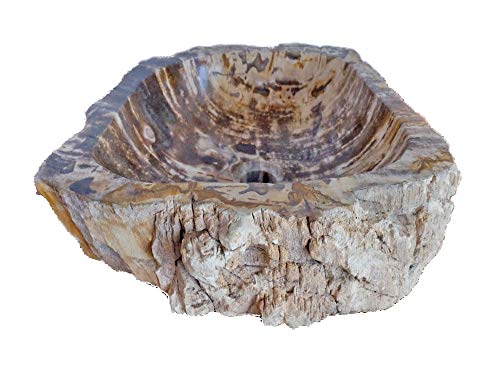 Natural Stone Sink - Petrified Wood #TOP5