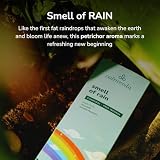 CALMVEDA Fresh Rain kadzidełka – (80 pałeczek zapachowych) bez węgla, wyprodukowane z kwiatów pochodzących z recyklingu | jak zapach petrichor z ziemi nasączonej deszczem | relaksujące zapachy do