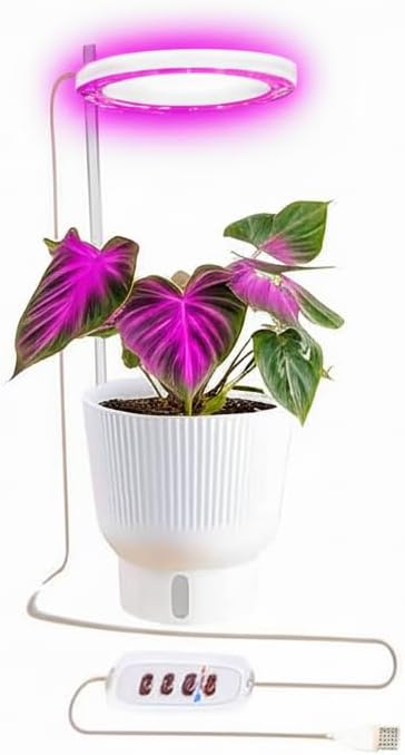 LED Angel Ring Grow Light with Smart Dimming, 1-4-Angle Rings, 3 Light Modes for Growing, Timer Control, USB Powered, Pink Light for Indoor houseplants Plants (4)