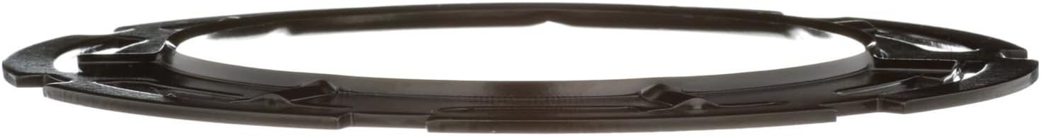 Delphi FA10025 Fuel Tank Lock Ring