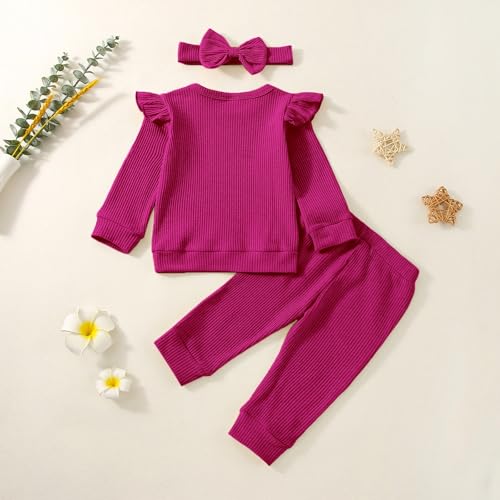 Baby Girl Clothes Fall Winter Outfits Infant Toddler Girls Outfit Long Sleeve Sweatshirt Pants Headband Outfits Set3