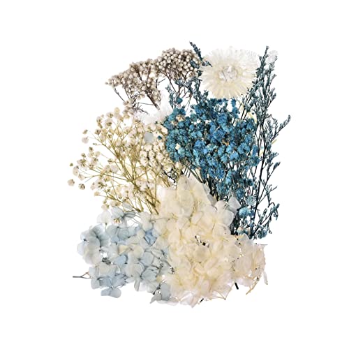  V[g hCt[ W i` | ԃV[g ޗ  R[W  p VR ԍ ޗ t H|i ԕW{ Ԃт̗t Lh nhCh y_g Aot[ hC[t ? 