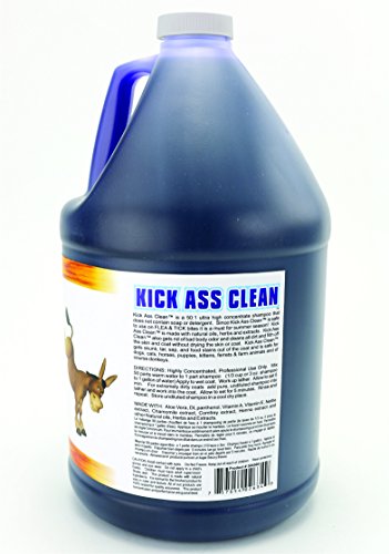 Kelco Kick Ass Clean Shampoo Gallon #TOP2