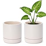 D'vine Dev Set of 2 Plants Pots, 4.7 Inch Ceramic Planter Pot for Plants with...