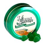Valda Caramelle per La Gola, Pastiglie Gommose Balsamiche, Senza Zucchero, con Olio Essenziale di Eucalipto e Levomentolo, 50 G